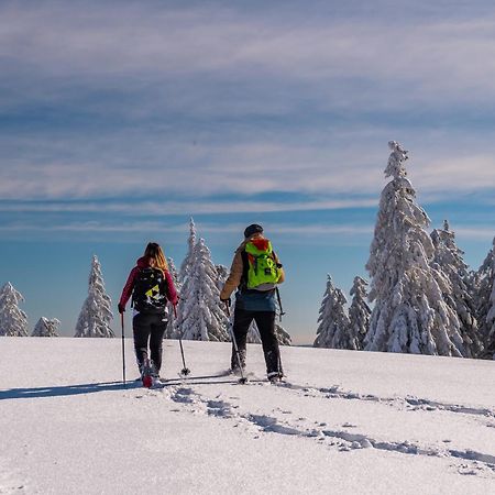 Schwarzwaldhorst Fewo 2 - Mit 4 Schlafzimmer - Todtnau, Liftverbund Feldberg Экстерьер фото