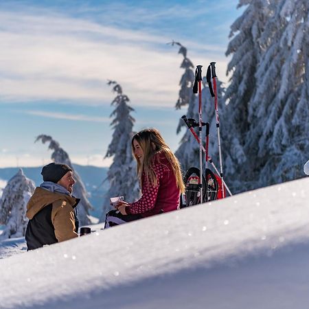 Schwarzwaldhorst Fewo 2 - Mit 4 Schlafzimmer - Todtnau, Liftverbund Feldberg Экстерьер фото