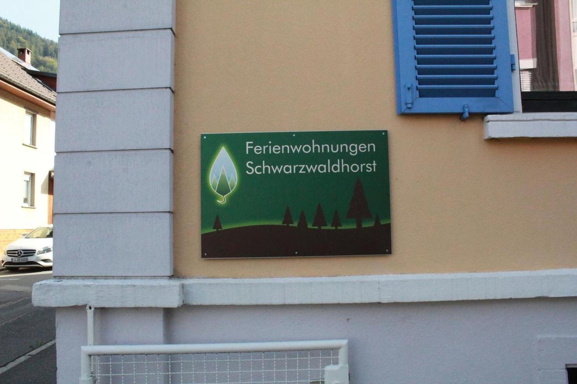 Schwarzwaldhorst Fewo 2 - Mit 4 Schlafzimmer - Todtnau, Liftverbund Feldberg Экстерьер фото
