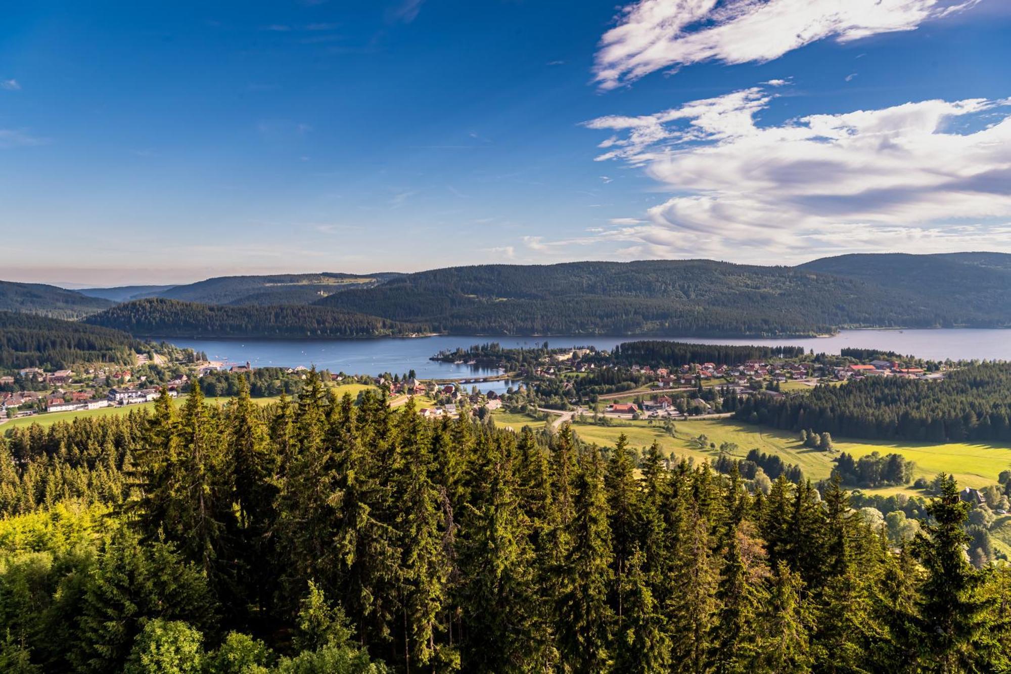 Schwarzwaldhorst Fewo 2 - Mit 4 Schlafzimmer - Todtnau, Liftverbund Feldberg Экстерьер фото