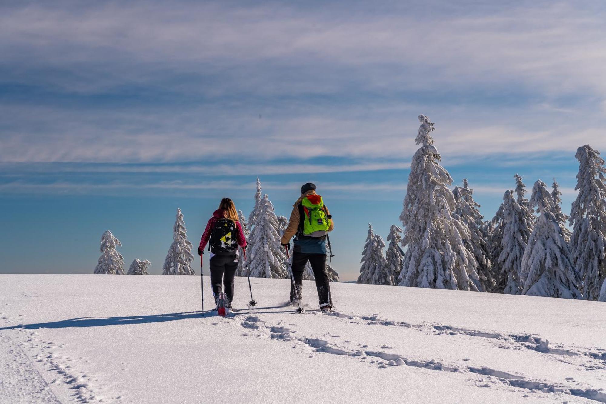 Schwarzwaldhorst Fewo 2 - Mit 4 Schlafzimmer - Todtnau, Liftverbund Feldberg Экстерьер фото